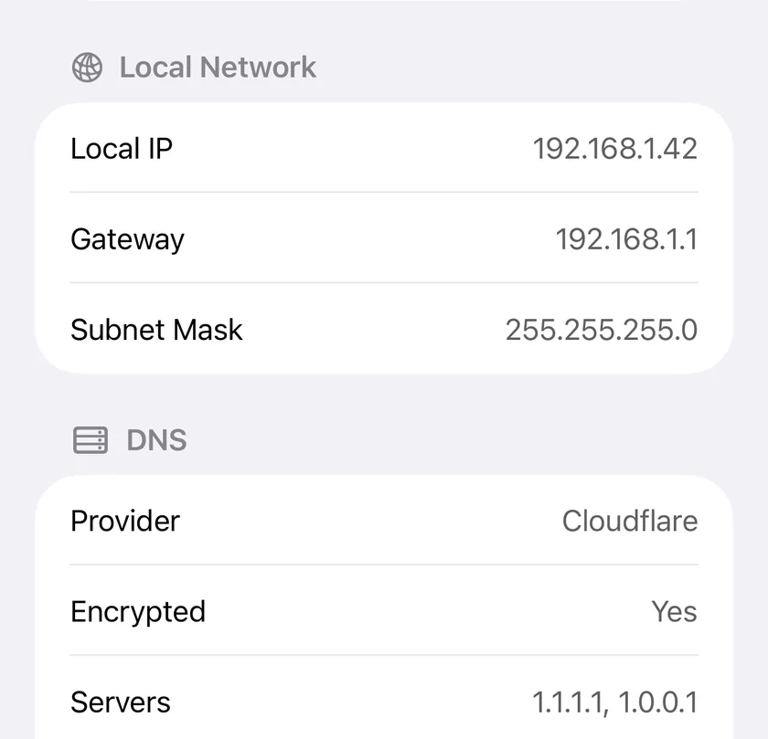 PingKit on iPhone showing the local IP, gateway and subnet mask, then the DNS resolver in use and whether the connection to it is encrypted.